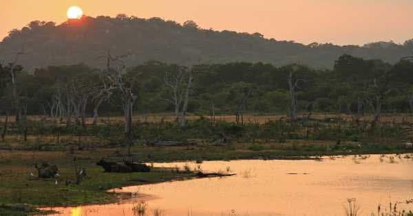 Private Yala National Park Safari