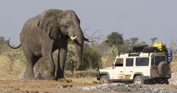 4 Day Camping Safari Group Join in Tanzania