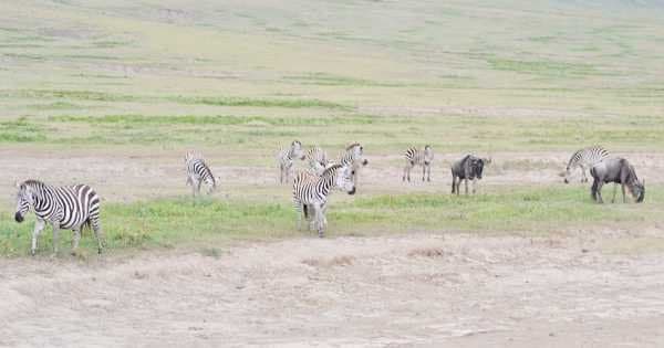 5 Day Natural Wonders of Africa Safari