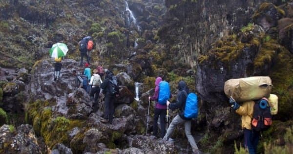 6 Days Mount Kilimanjaro Trekking via Machame Route 2 Nights Hotel Stay