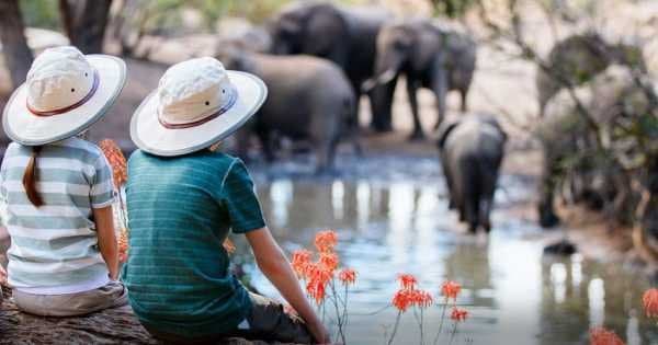 7 Day Tanzania Family Safaris