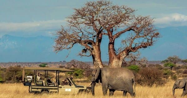 Discover the World of Wilderness in Luxury Style!