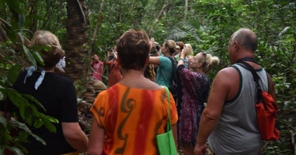 Experience Jozani Forest on a 3 Hr Safari Tour in Zanzibar