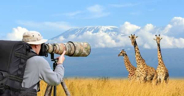 From the Peak of Kilimanjaro, Head to the Bush and Beach 8 Day Tour
