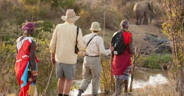 Kenya & Tanzania Safari Adventure - 11 Days