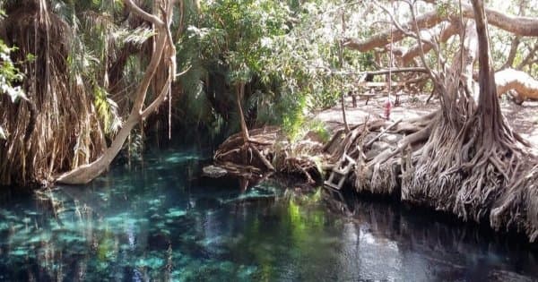 Kikuletwa Hot Spring Swimming Group Day Tour from Moshi