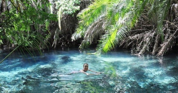 Kikuletwa Hotsprings and Visit a Real Maasai Village