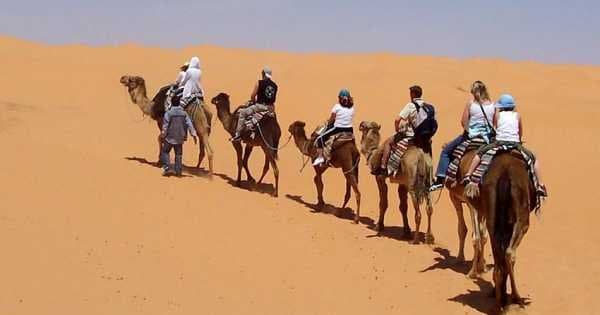 2-Day Sahara Desert Camel Trek in Tunisia