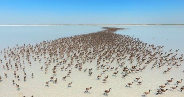Daily Salt Lake Tour from Cappadocia