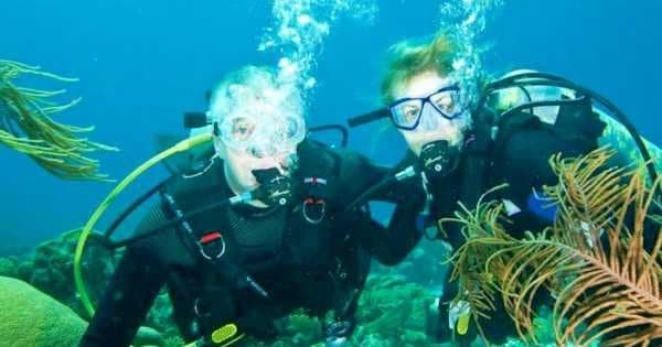 Discover the Colourful Reefs on a Kusadasi Scuba Diving Tour