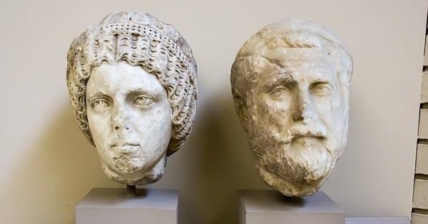 Full Day Tour to Ephesus and Archaeological Museum From Izmir