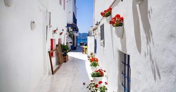 Private Ephesus Tour From Bodrum With Return to Kusadasi