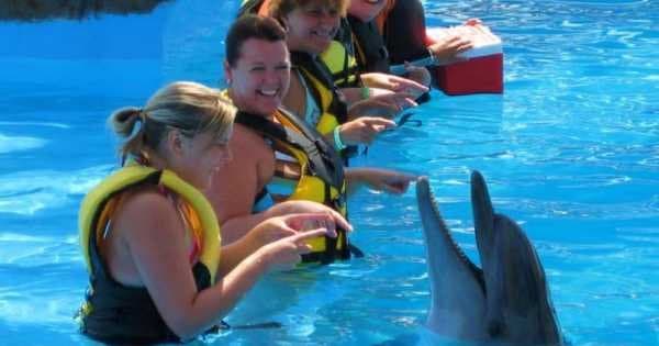 Ride the Slides on a Adaland Waterpark Tour in Kusadasi