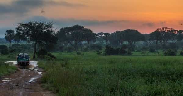 3 Days Murchison Falls Big 5 & Big Cats Tour