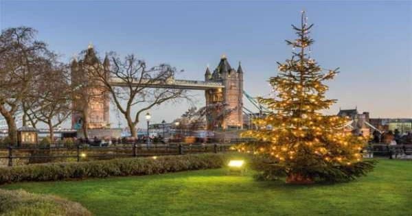 One Day Hop on Hop Off Bus Tour - Christmas Day