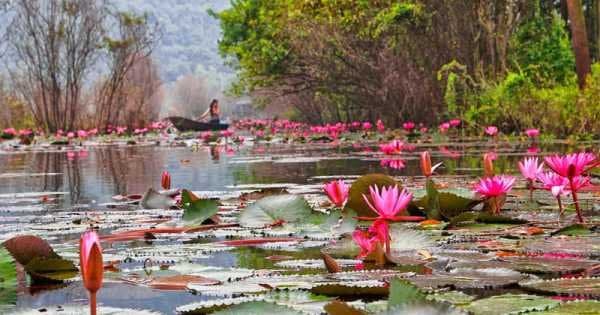 Buddhism Pilgrimage - Perfume Pagoda Trip