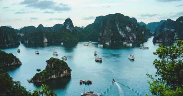 Halong Bay One Day Tour: Cruising, Kayaking, Seafood Lunch...