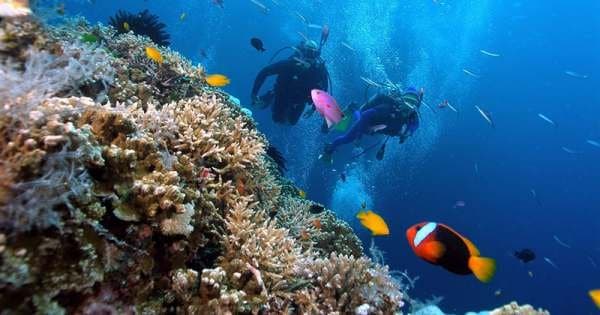 Snorkeling & Fishing to the North Phu Quoc