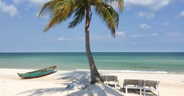 Snorkelling & Squid Fishing Combo Tour