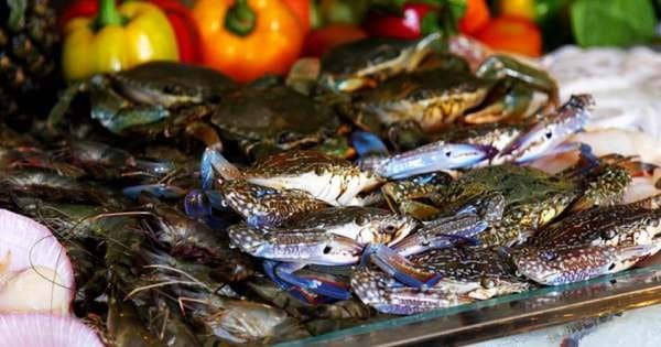 The Seafood Tour by Night