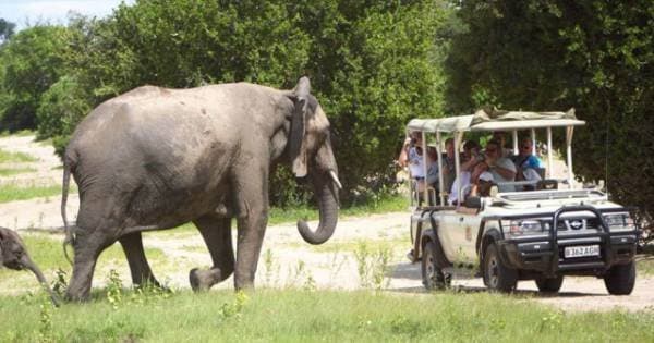 4 Days – The Mighty Victoria Falls Safari - Zambia